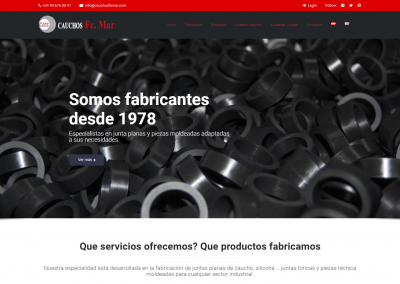 Proyecto de Juntas de Caucho