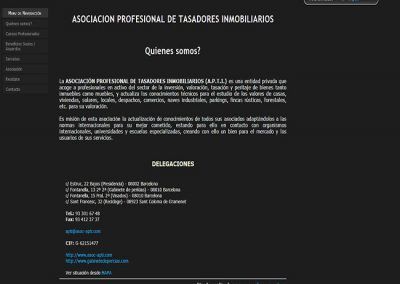 Proyecto de Asociación Profesional de Tasadores Inmobiliarios
