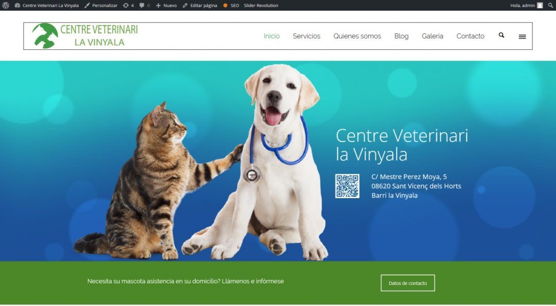 Proyecto de Centro Veterinario Eligeunaweb Agencia de marketing y