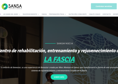Página web Sansa Fascia