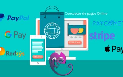 Diferencias entre Redsys, Paycomet y otras opciones de pago: ¿Cuál es la mejor opción para tu negocio?