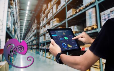 Recuperar Productos con Stock Negativo y Corregirlos Mediante MySQL en PrestaShop