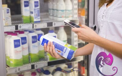 Cómo reasignar productos de una categoría a otra en WooCommerce con SQL