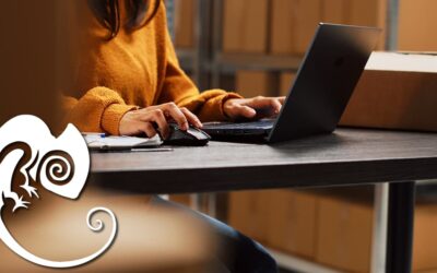 Sincronizar Precios o Stock desde un CSV Externo en PrestaShop