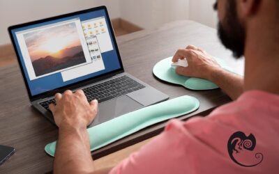 Clonar views o bloques programáticamente en Drupal