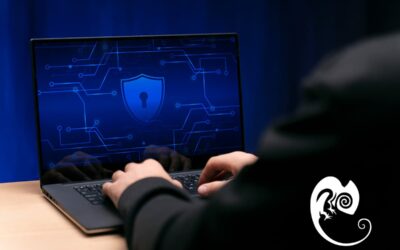 Cómo bloquear bots maliciosos con .htaccess o filtros PHP