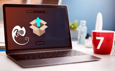 Exportar productos y categorías en Magento con SQL