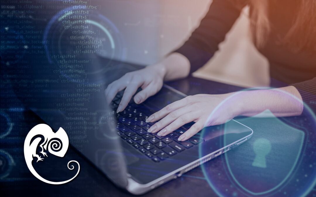 Herramientas para auditar vulnerabilidades comunes en una web